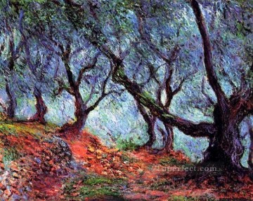  Bord Painting - Grove of Olive Trees in Bordighera Claude Monet woods forest
